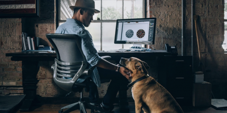 The Startup Magazine How Entrepreneurs Need To Plan To Protect Their Business